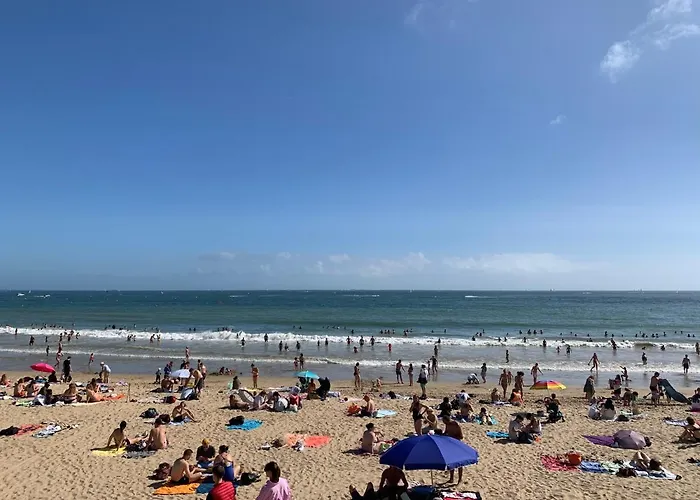 Studio-cabine Sur Le Port De Avec Vue Mer, Le Galienni *
