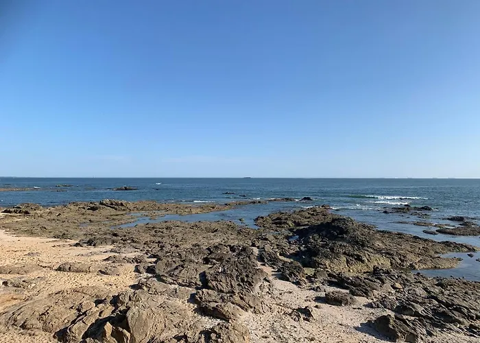 Lejlighed Studio-cabine Sur Le Port De Avec Vue Mer, Le Galienni